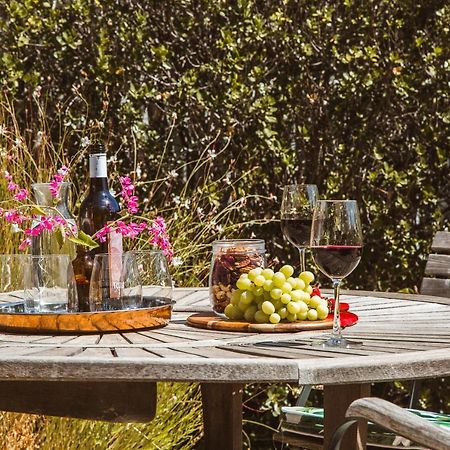 Mataro Cottage Tanunda Zewnętrze zdjęcie